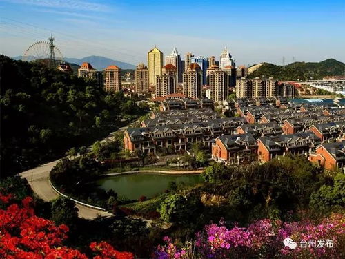 創(chuàng)建全國(guó)文明城市 全民共建 溫暖臺(tái)州城