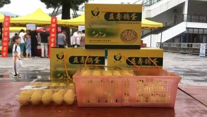 臺州青年農創市集圓滿收官，青春創意與鄉土風味碰撞出別樣火花